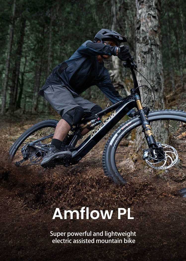 DJI Amflow PL Carbon E-Mountain Bike With DJI Avinox Drive System Built-in LED Control Display Amflow PL Full Suspension Ebike Elite