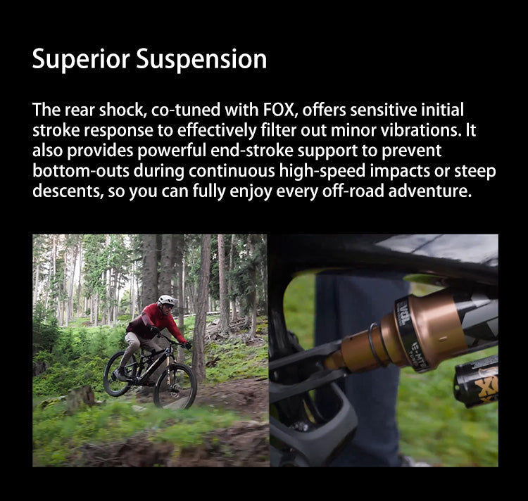 DJI amflow bike cheapest amflow PL Carbon 800 Wh - L Equipped with DJl Aviox 508W Fast Charging Charger Amflow DJI Mtb Ebike Elite