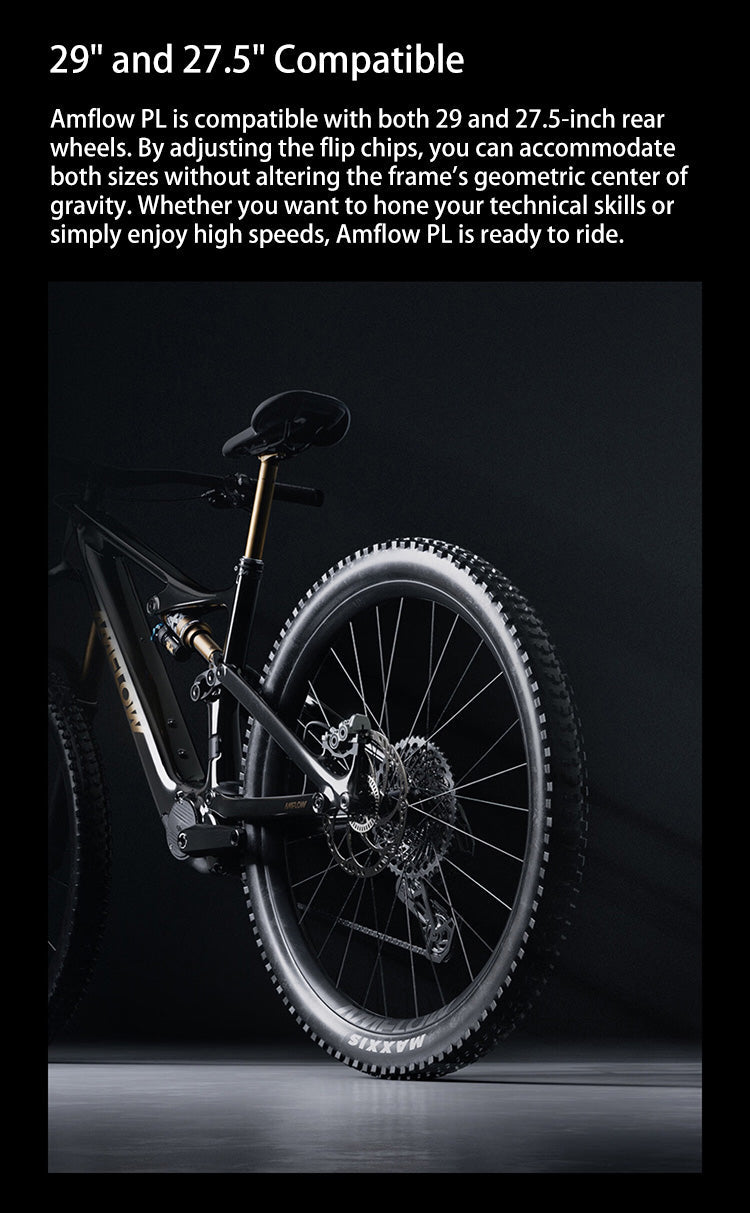 DJI Amflow PL Carbon E-Mountain Bike With DJI Avinox Drive System Built-in LED Control Display Amflow PL Full Suspension Ebike Elite