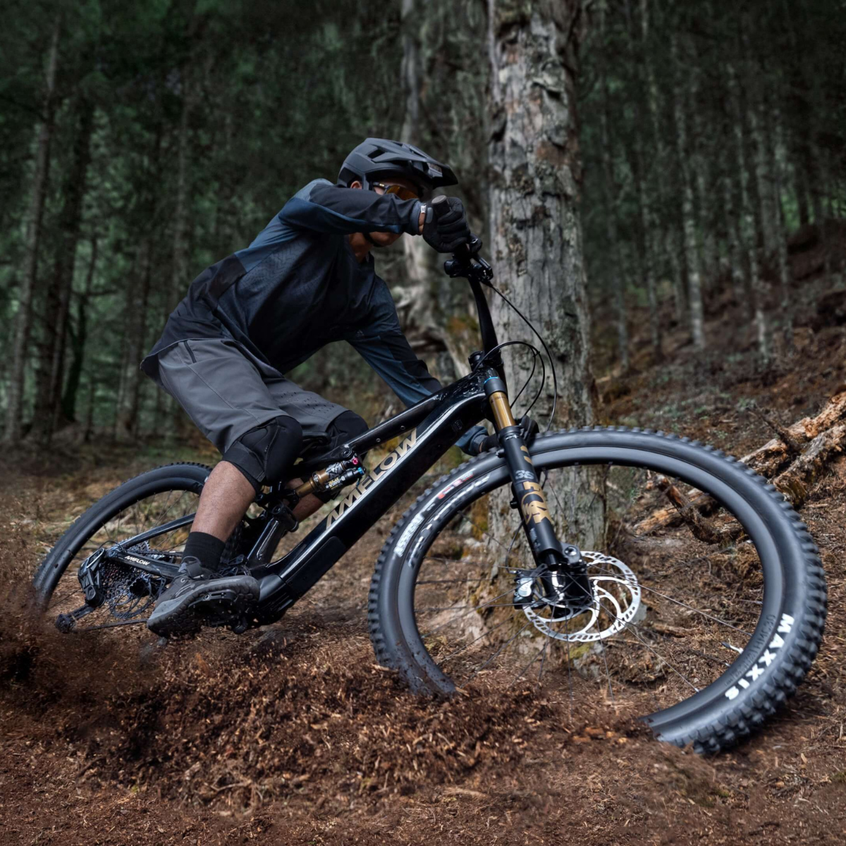 DJI amflow bike cheapest amflow PL Carbon 800 Wh - L Equipped with DJl Aviox 508W Fast Charging Charger Amflow DJI Mtb Ebike Elite