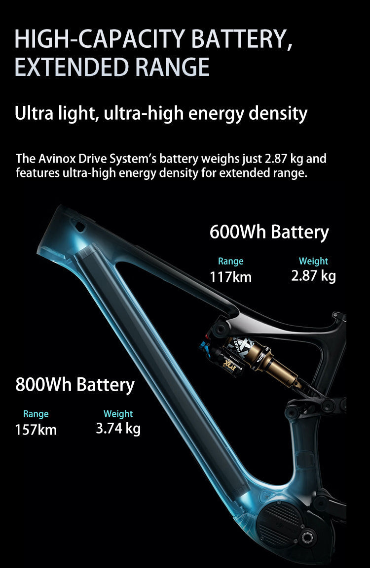 DJI Amflow PL Carbon E-Mountain Bike With DJI Avinox Drive System Built-in LED Control Display Amflow PL Full Suspension Ebike Elite
