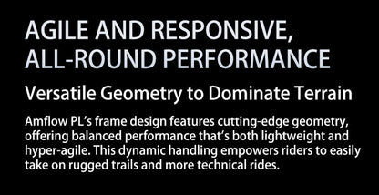 DJI Amflow PL Carbon E-Mountain Bike With DJI Avinox Drive System Built-in LED Control Display Amflow PL Full Suspension Ebike Elite