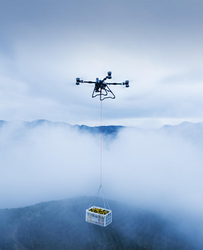 DJI Agriculture Drone T100 Professional with Gps RTK and HD Camera for Fertilizer and Granular Payload Spraying Drones Elite