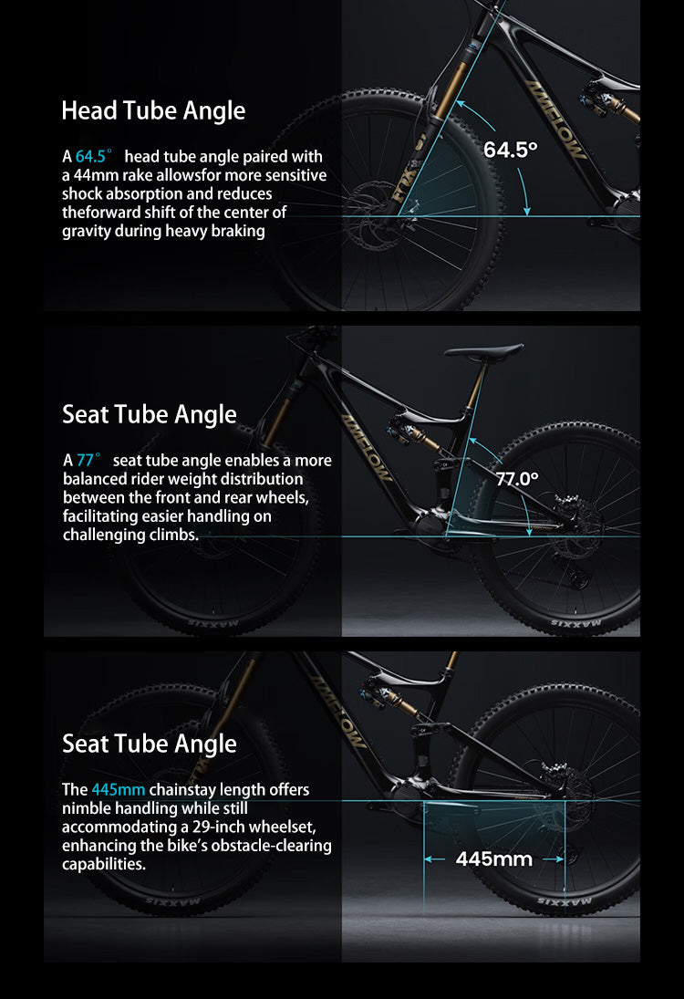 DJI amflow bike cheapest amflow PL Carbon 800 Wh - L Equipped with DJl Aviox 508W Fast Charging Charger Amflow DJI Mtb Ebike Elite