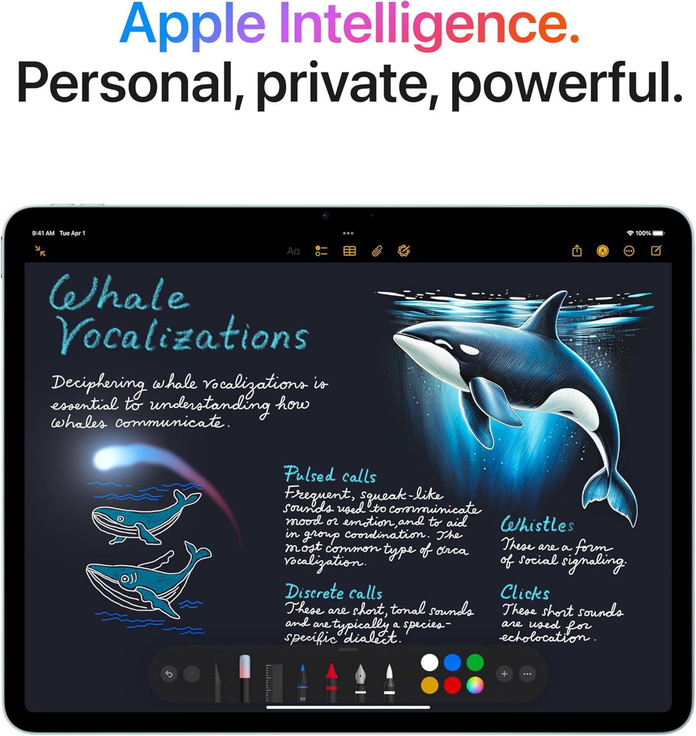 Apple iPad Air 11 Inch M3 Chip 512GB Liquid Retina TouchID Wi Fi 6E Space Gray Elite