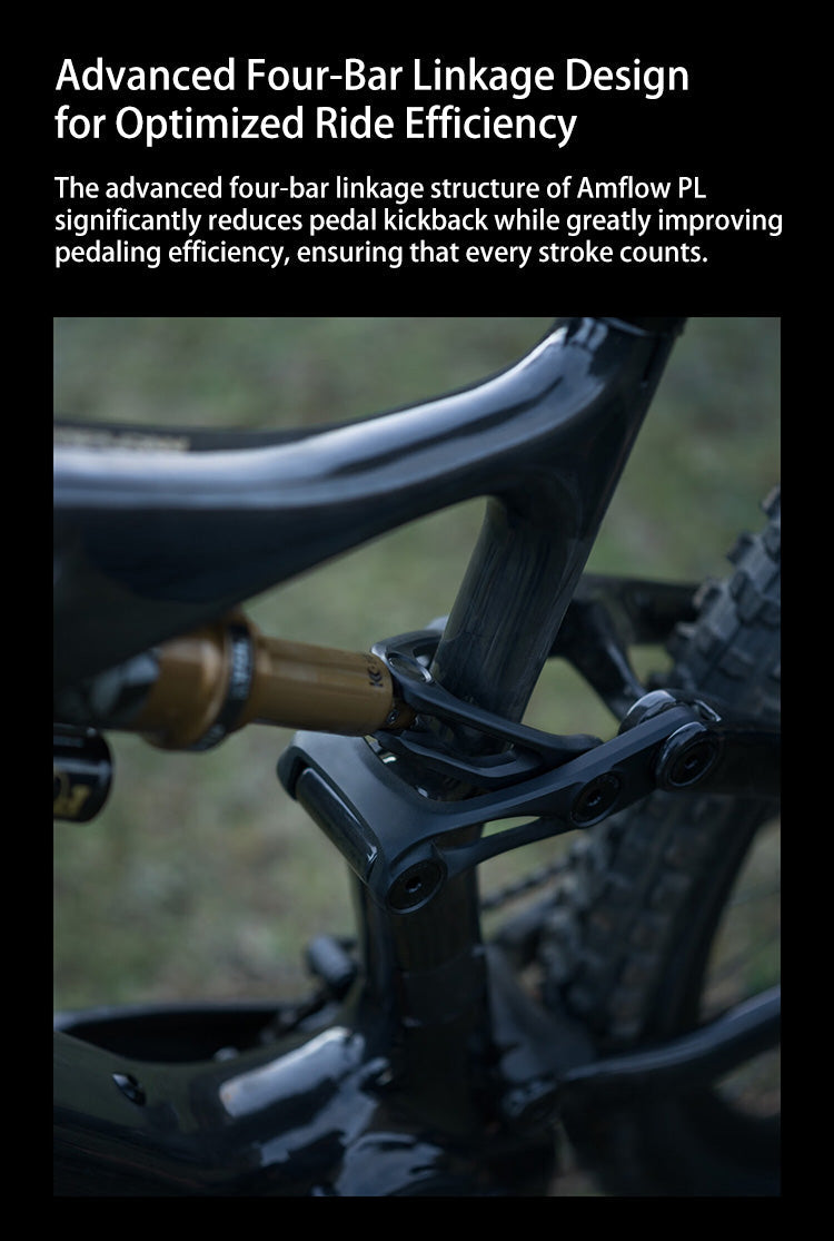 DJI Amflow PL Carbon E-Mountain Bike With DJI Avinox Drive System Built-in LED Control Display Amflow PL Full Suspension Ebike Elite